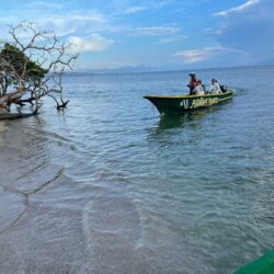 fishing boat return